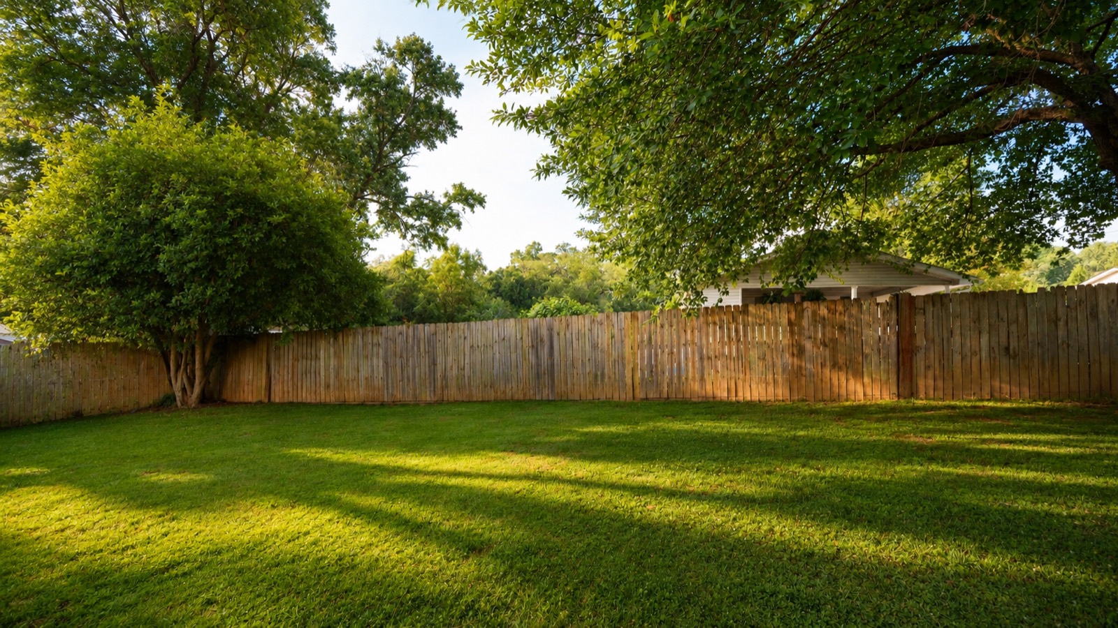 Large backyard lawn