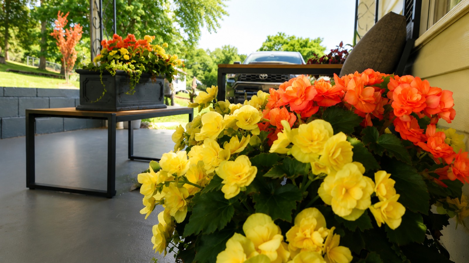 Patio flowers and outdoor dining
