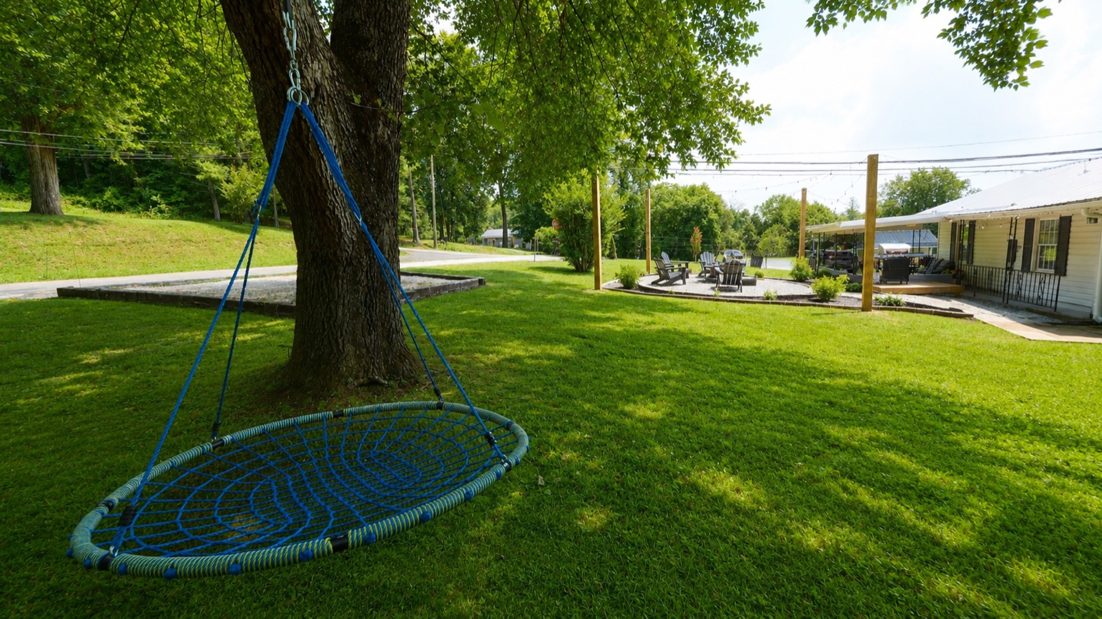 Saucer tree swing in the shaded backyard